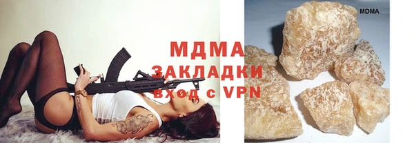 гидра Богородицк