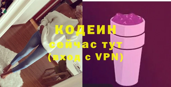 гидра Богородицк