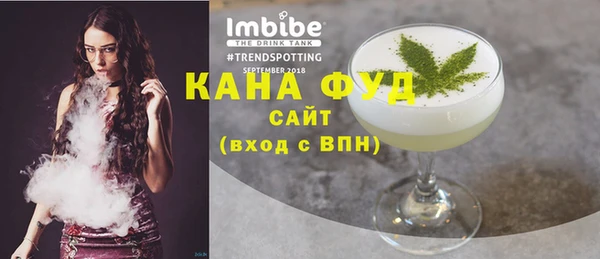 гидра Богородицк