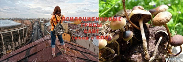 метадон Туринск